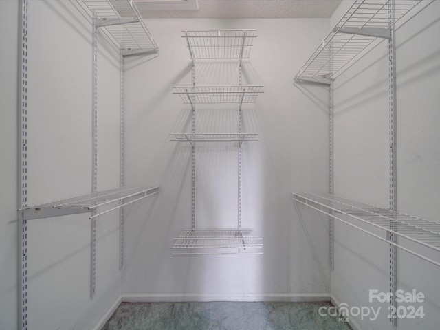 spacious closet featuring carpet