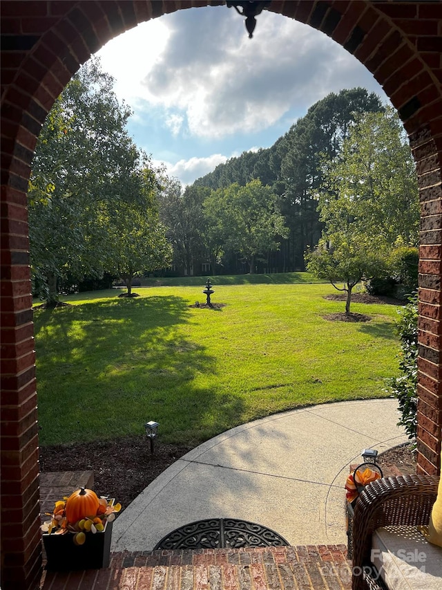 view of yard with a patio area