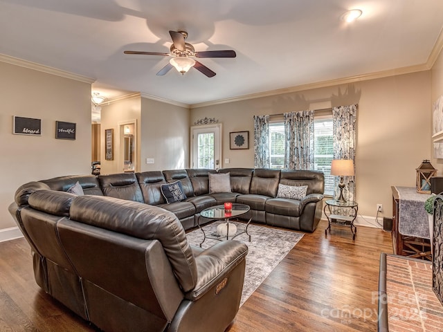 living room with ornamental molding, ceiling fan, and dark wood-type flooring