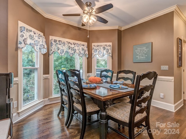 dining area with ceiling fan, crown molding, and dark hardwood / wood-style flooring