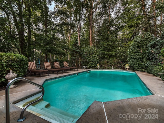 view of pool featuring a patio area