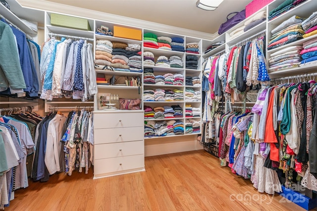 spacious closet with light hardwood / wood-style floors