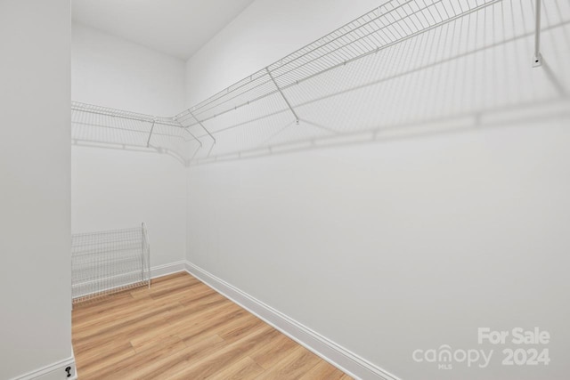 walk in closet featuring wood-type flooring