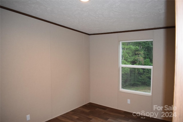 unfurnished room featuring a textured ceiling, plenty of natural light, and dark hardwood / wood-style floors