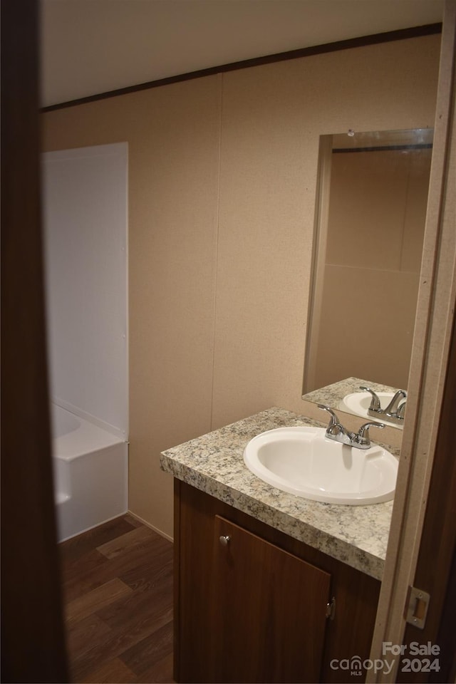 bathroom with vanity and wood-type flooring