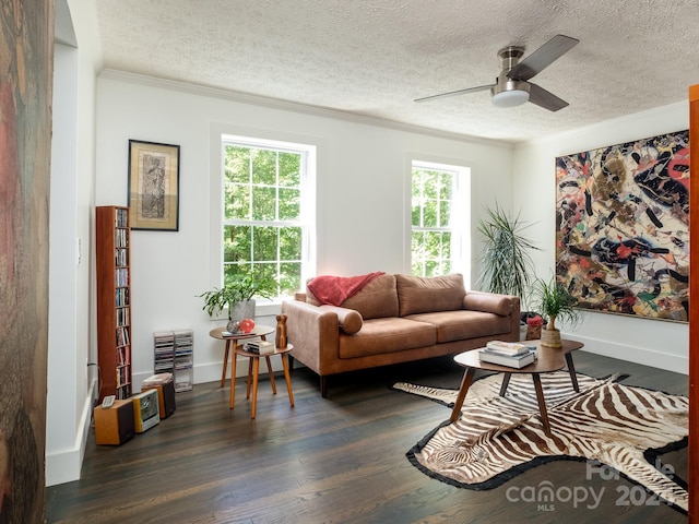 living room with a textured ceiling, ceiling fan, ornamental molding, and dark wood-type flooring