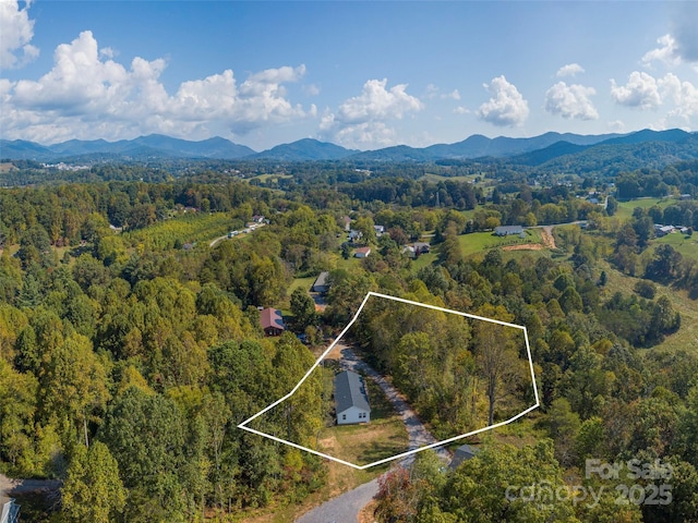 drone / aerial view featuring a mountain view