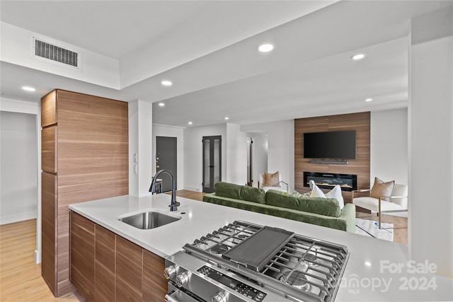 kitchen with sink, light hardwood / wood-style flooring, and a large fireplace