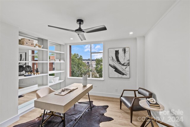 office featuring ceiling fan, light wood-type flooring, and crown molding