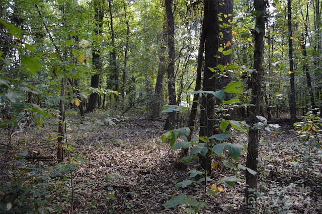0000 Beverly Drive 88 & 89, Statesville, NC 28625 - photo 1
