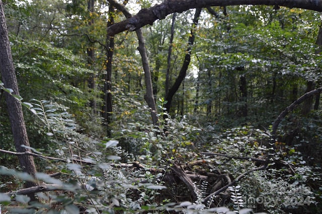0000 Beverly Drive 88 & 89, Statesville, NC 28625 - photo 2