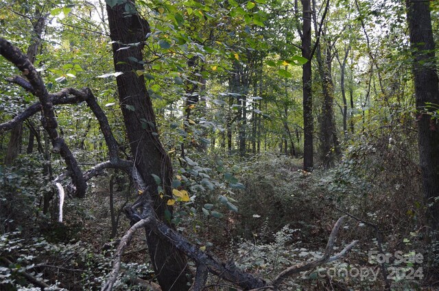 0000 Beverly Drive 88 & 89, Statesville, NC 28625 - photo 3