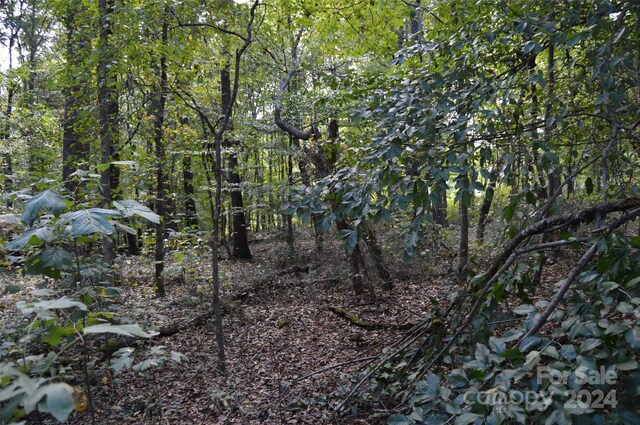 0000 Beverly Drive 88 & 89, Statesville, NC 28625 - photo 4