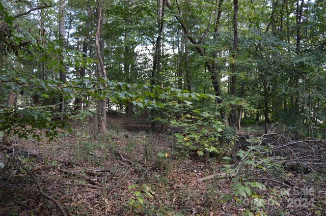 0000 Beverly Drive 88 & 89, Statesville, NC 28625 - photo 5