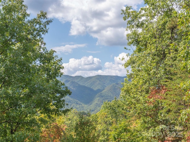 property view of mountains