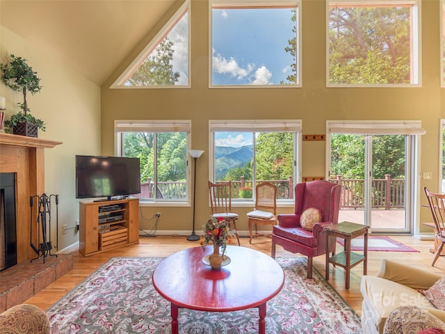 living room featuring high vaulted ceiling, light wood-type flooring, and a fireplace