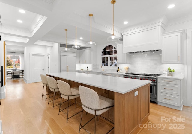 kitchen with white cabinetry, decorative backsplash, premium stove, and a spacious island