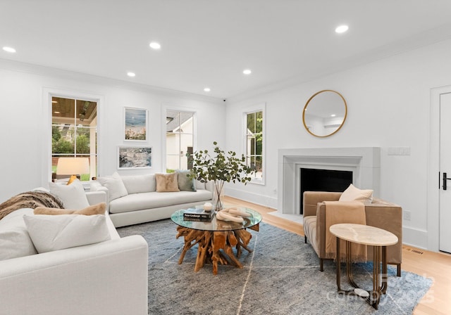 living room featuring ornamental molding and wood-type flooring