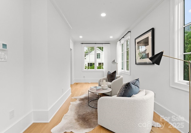 living room with light hardwood / wood-style flooring