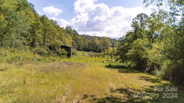 Listing photo 2 for 31 Riddle Rd, Barnardsville NC 28709