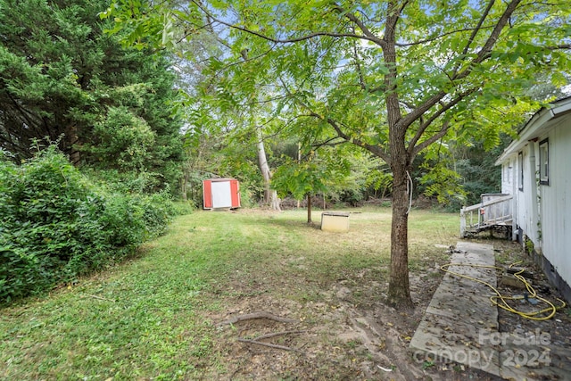 view of yard featuring a storage shed