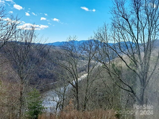 759AND755 Snelson Rd, Marshall, NC 28753 - photo 37