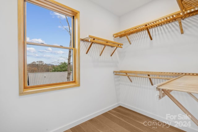 walk in closet with hardwood / wood-style floors