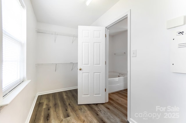 walk in closet featuring wood finished floors