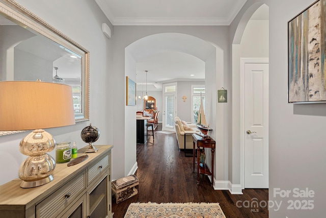 hall with dark hardwood / wood-style flooring and ornamental molding