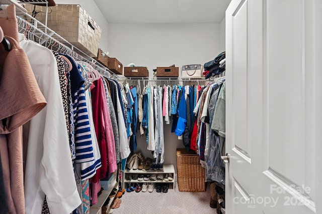 spacious closet with carpet floors