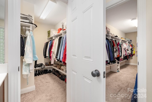 spacious closet with light carpet