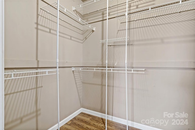 walk in closet with hardwood / wood-style floors