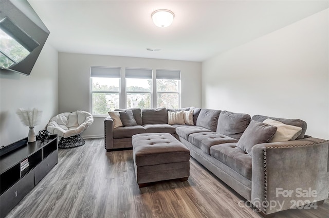 living room with wood-type flooring