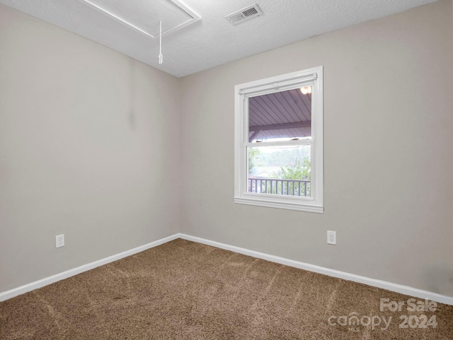 empty room with carpet and a textured ceiling