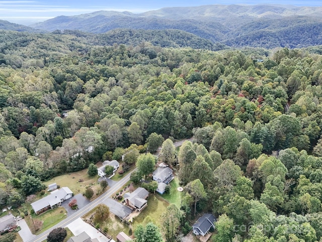 birds eye view of property featuring a mountain view