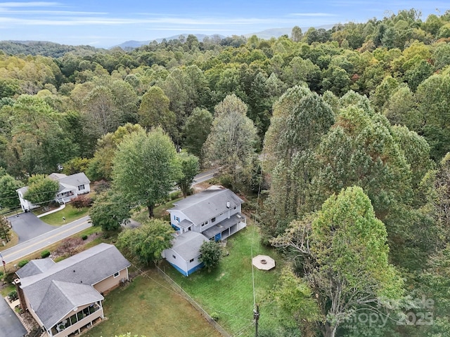200 Frost Rd, Saluda, NC 28773 - aerial view of a forest