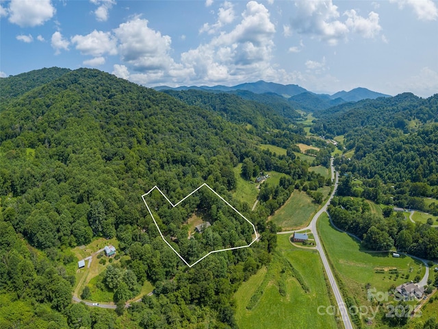 birds eye view of property featuring a mountain view