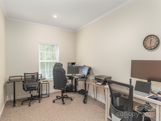 office space featuring ornamental molding and light colored carpet