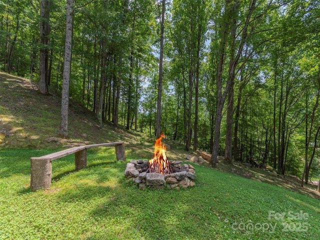 view of yard featuring a fire pit