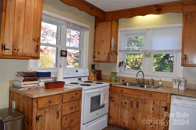 kitchen featuring sink, plenty of natural light, and white appliances