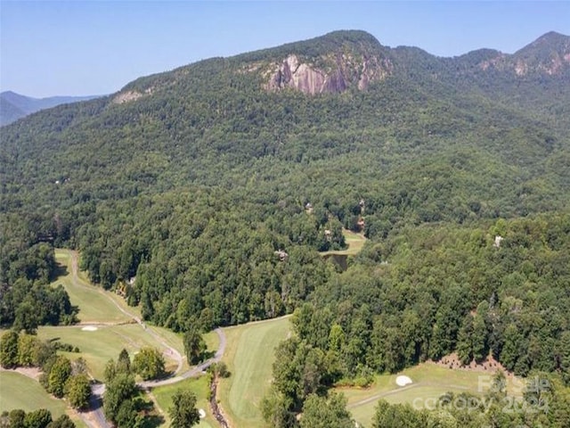 Listing photo 2 for 307 Fairway Dr, Lake Lure NC 28746