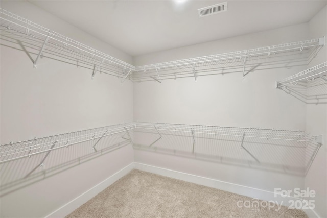 walk in closet featuring carpet