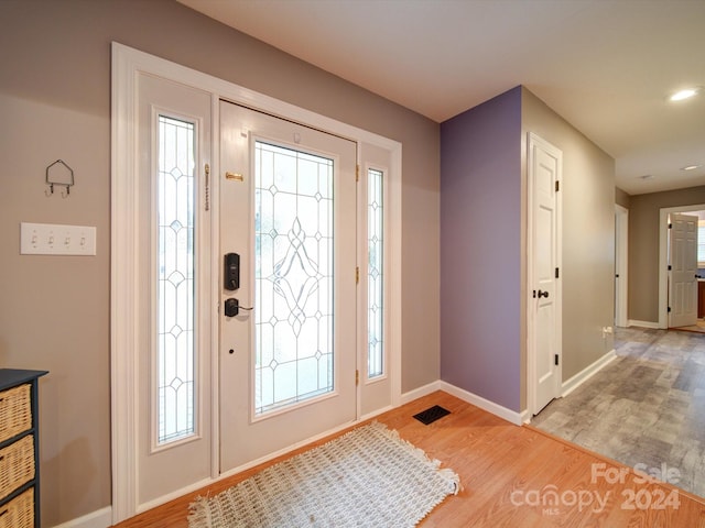 entrance foyer featuring wood-type flooring