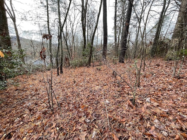 Listing photo 2 for 99999 Rattlesnake Mountain Rd, Black Mountain NC 28711