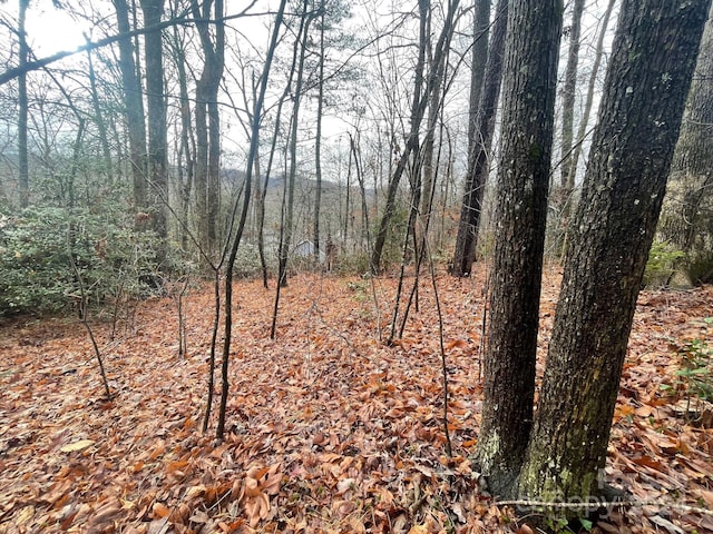 Listing photo 3 for 99999 Rattlesnake Mountain Rd, Black Mountain NC 28711