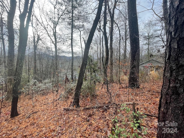 99999 Rattlesnake Mountain Rd, Black Mountain NC, 28711 land for sale