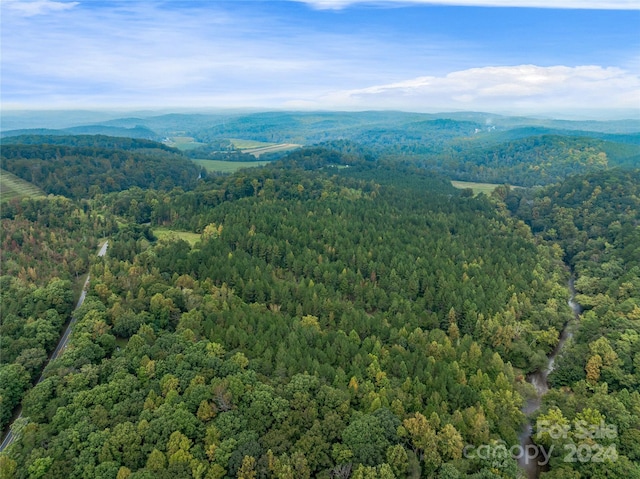 53ACRES John Watson Rd, Rutherfordton NC, 28139 land for sale