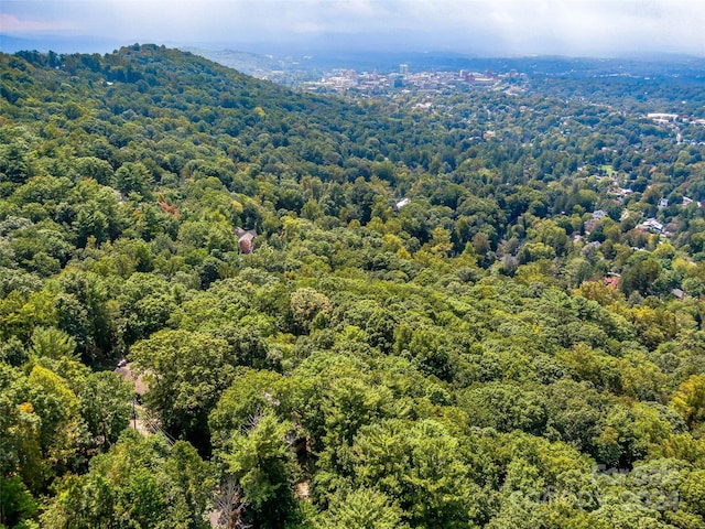 219 Old Toll Rd, Asheville, NC 28804 - drone / aerial view featuring a wooded view