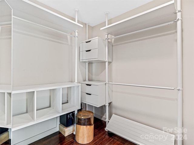 spacious closet featuring dark hardwood / wood-style flooring