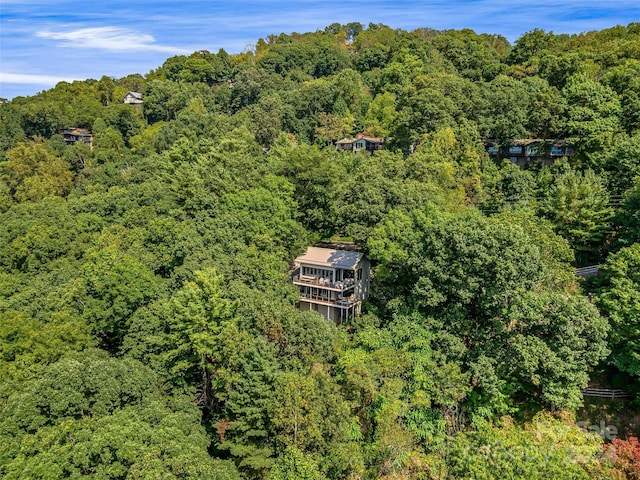 219 Old Toll Rd, Asheville, NC 28804 - bird's eye view with a forest view